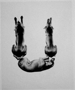 Image description is not available for 2001.079